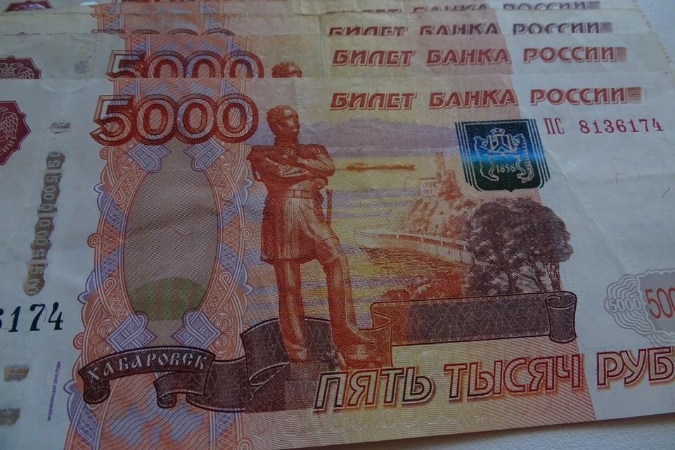 В Липецке осудят курьеров мошенников, которые забрали у пенсионеров 930 тысяч