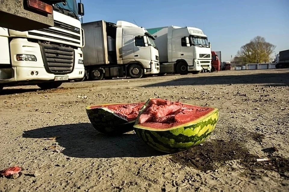В Новосибирске полиция устроила облаву на незаконных мигрантов в ТЦ «Хилокский» и на Малыгинском рынке.