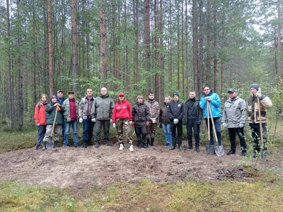 С начала года в Коми убрали 55 несанкционированных свалок