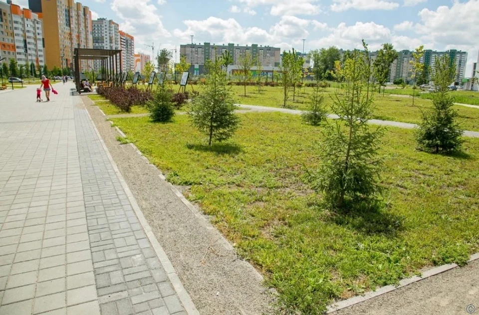 Фото: Вечерний Барнаул