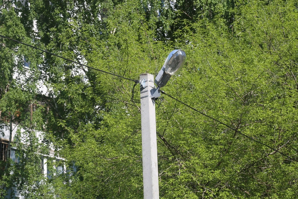 В текущем году установлено