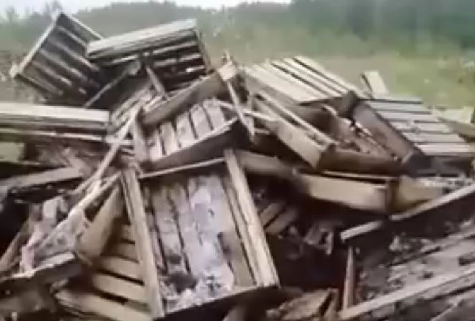В кучу также сложили деревянные поддоны. Фото: кадр с видео