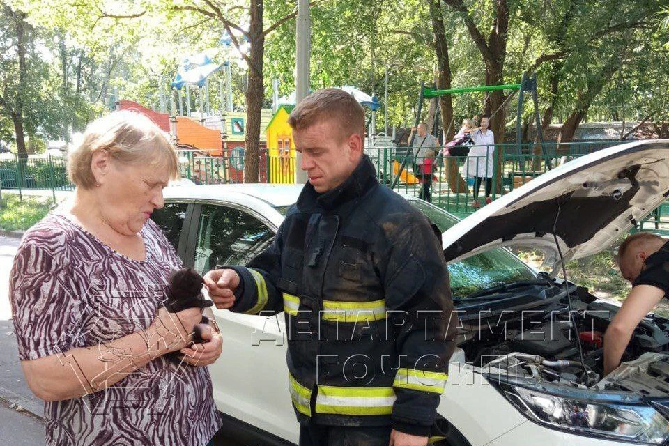 Фото: Департамент ГОЧСиПБ г. Москвы