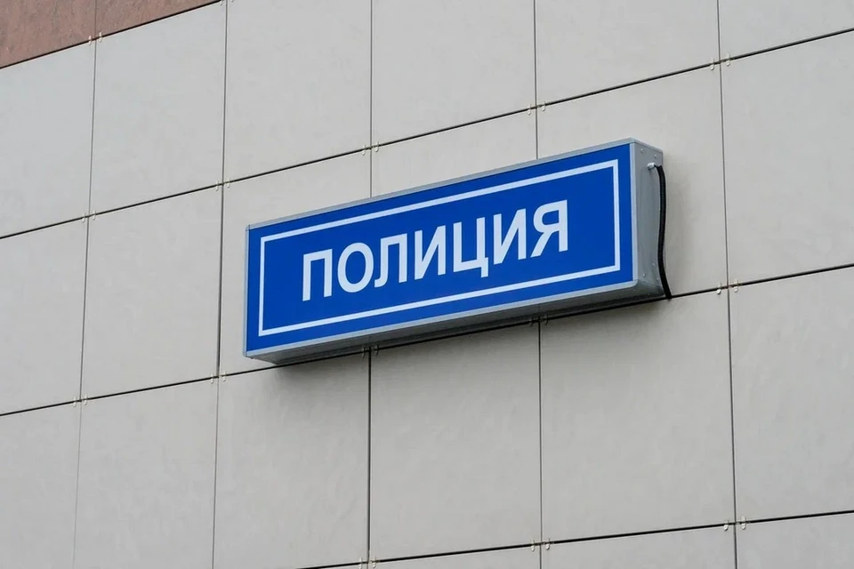 Полицейские задержали мигранта, набросившегося с ножом на жену у бизнес-центра в Петербурге.