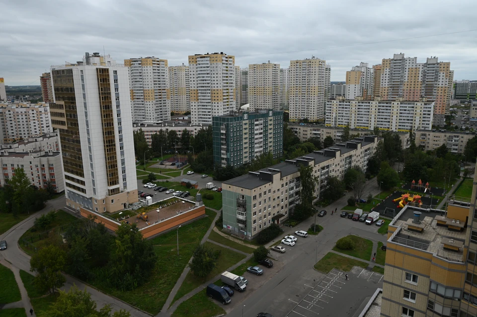 Шушары входят в тройку самых густонаселенных районов Петербурга вместе с МО №65 в Приморском районе и Колпино.
