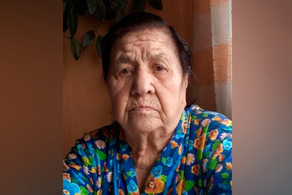 Без вести пропавшую 94-летнюю ушедшую в лес пенсионерку ищут в Ленобласти. Фото: ЛизаАлерт