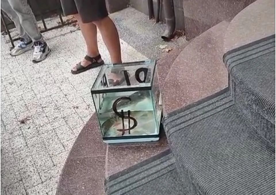 Активисты "Гайдуков" принесли аквариум с живым карпом к офису партии PAS. (Фото: скрин с видео).