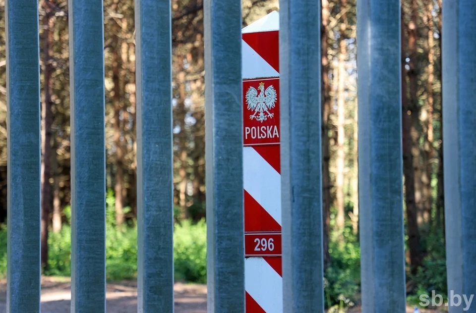 В Беларуси хотят, чтобы после референдума в Польше снесли забор в Беловежской пуще. Фото: sb.by.