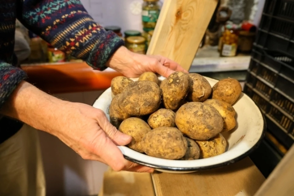 Цены на овощи из нового урожая снизились в Иркутской области