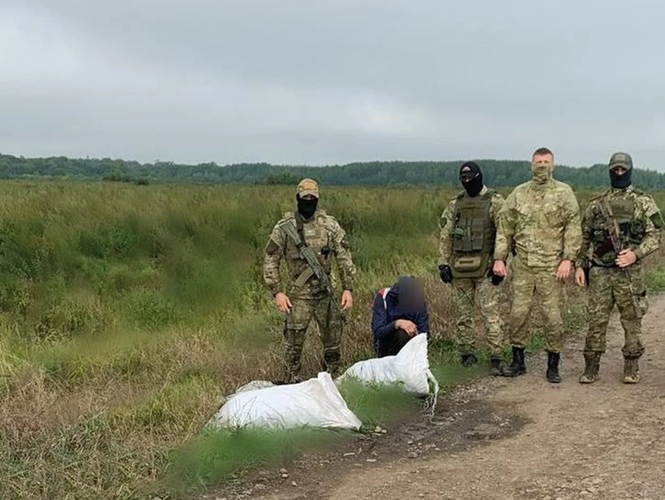 Хабаровчане насобирали семь килограммов запрещенного растения в полях Фото: УМВД по Хабаровскому краю