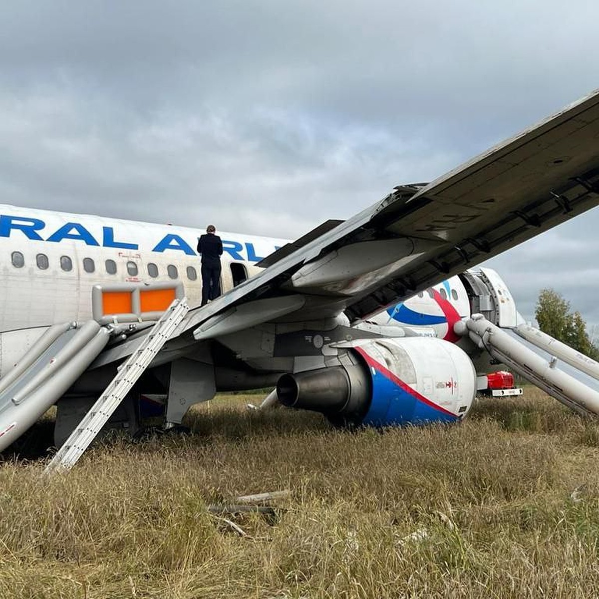 Аварийная посадка самолета Сочи — Омск в Новосибирской области: что  известно к этому часу - KP.RU