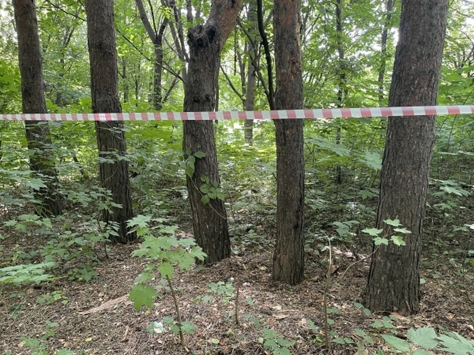 Обстоятельства и причину смерти мужчины предстоит установить криминалистам и судмедэкспертам