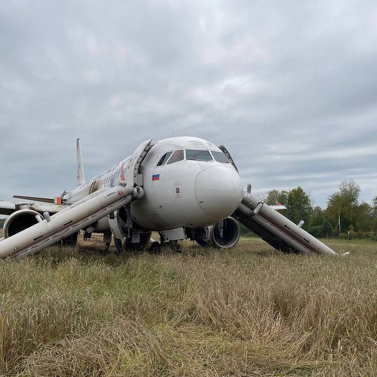 Опубликована траектория полета самолета, севшего в поле под Новосибирском -  KP.RU