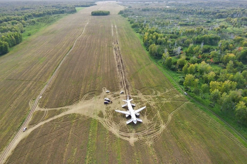Белоснежный самолет резко выделяется на фоне увядающей зелени. Фото: предоставлено пресс-службой «Уральских авиалиний»