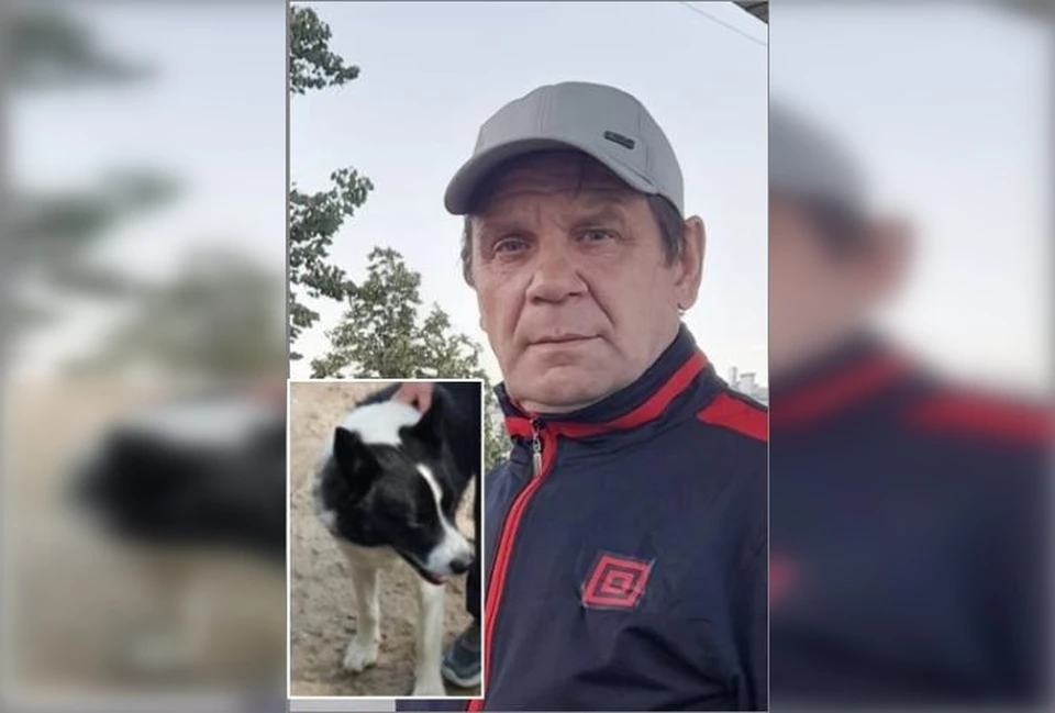 В Коми спасатели ищут инвалида с деменцией, пропавшего в лесу