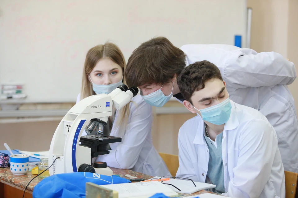 Ульяновский студент создает лекарство для животных со стволовыми клетками