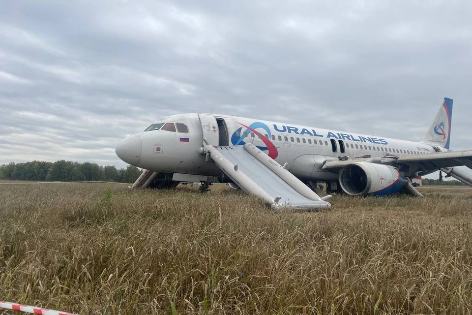 Пассажирам самолета, аварийно севшего в поле под Новосибирском, выплатили компенсацию в 100 тысяч рублей.