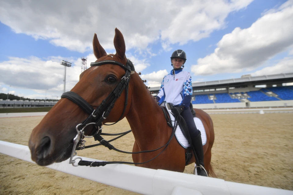 Владельцев конного клуба со Ставрополья осудили за травму ребенка
