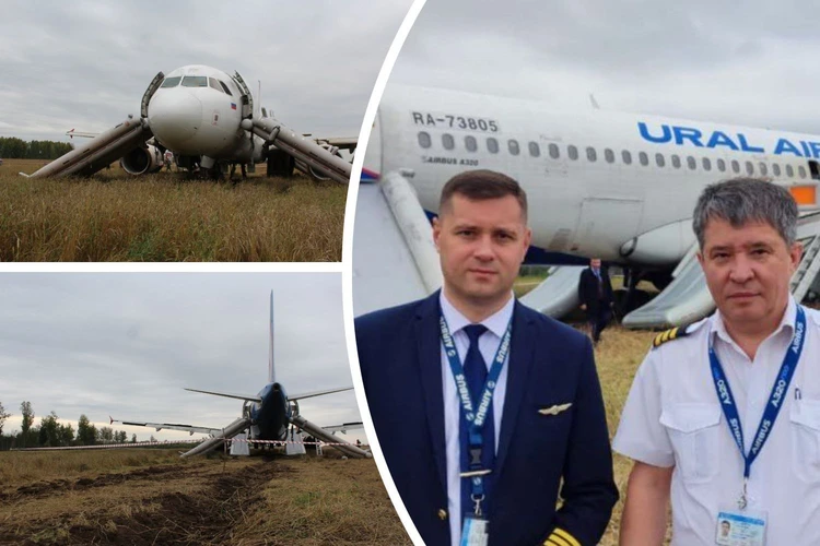 «В Новосибе — база, наши договорятся»: появилась расшифровка черного ящика самолета, севшего в поле