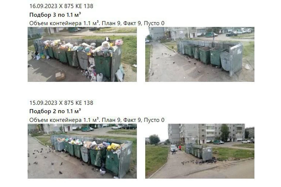 Нашествие крыс: иркутяне все чаще замечают грызунов возле мусорных баков. Фото: Пресс-служба «РТ-НЭО Иркутск»