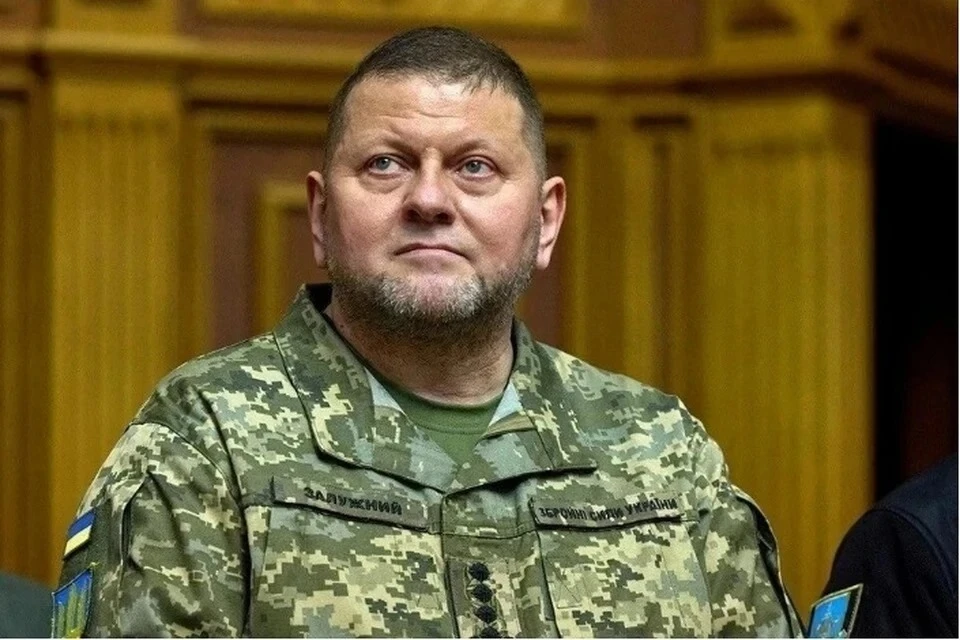BBC: Залужный рискует стать фигурантом уголовного дела из-за потери юга Украины