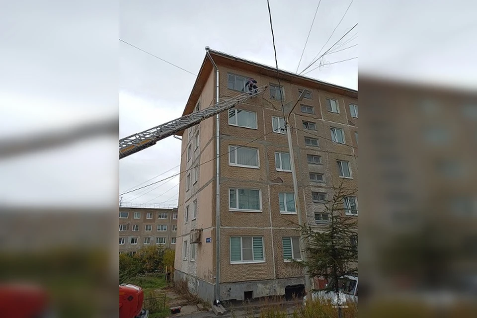 Спасатели вернули голубю свободу
