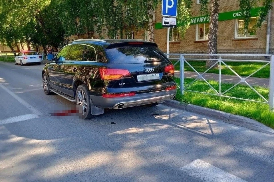 Суд оставил в силе условный срок водителю внедорожника, насмерть сбившего ребенка на зебре в Академгородке. Фото: "Инцидент Новосибирск"