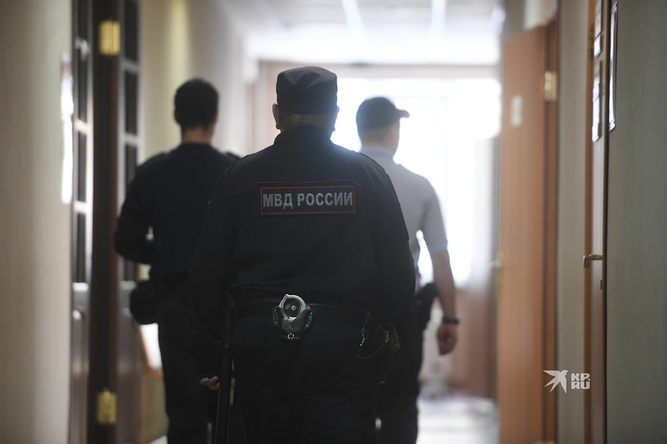 Обвиняемый вину признал, написал явку с повинной, возместив сумму причиненного вреда в размере 6,5 млн рублей.