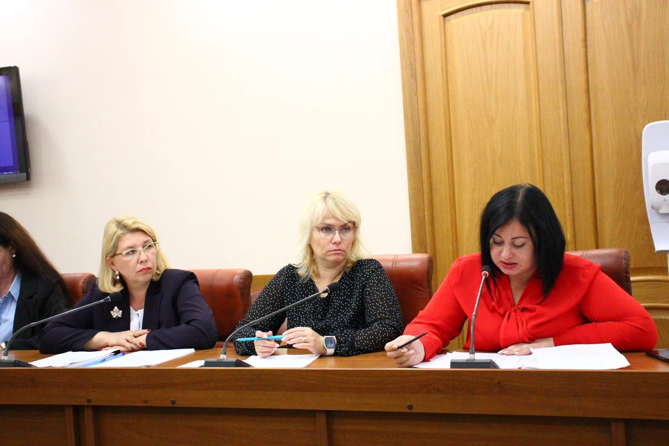 В Ульяновске депутаты Гордумы утвердили новую программу поддержки ТОС. ФОТО: Ульяновская Гордума
