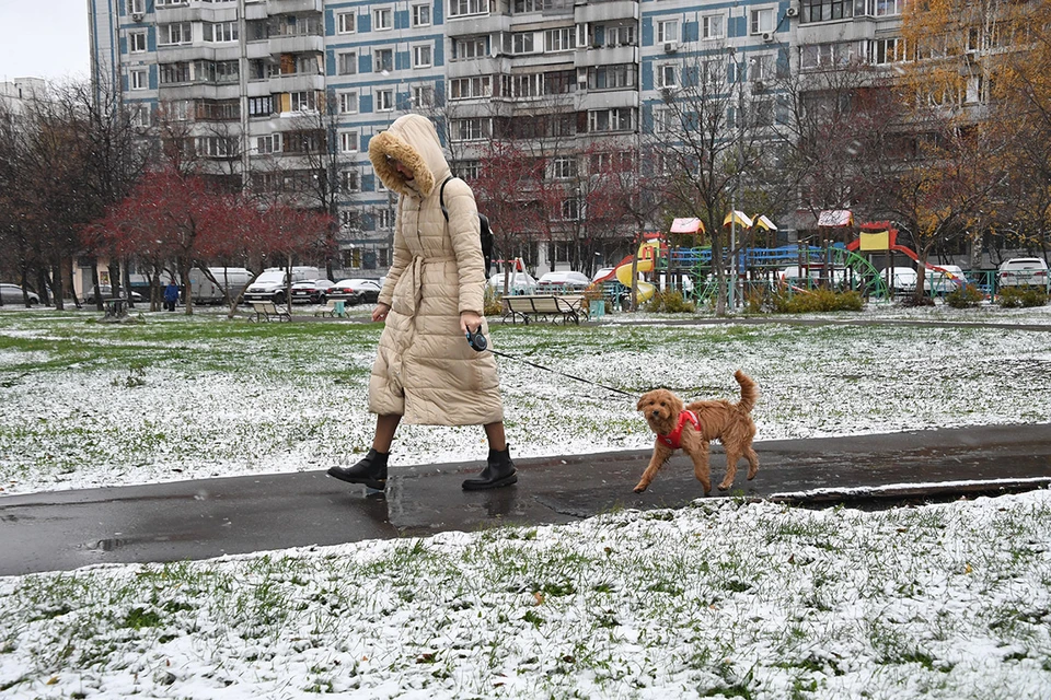 Первый снег в Москве может выпасть уже в начале октября