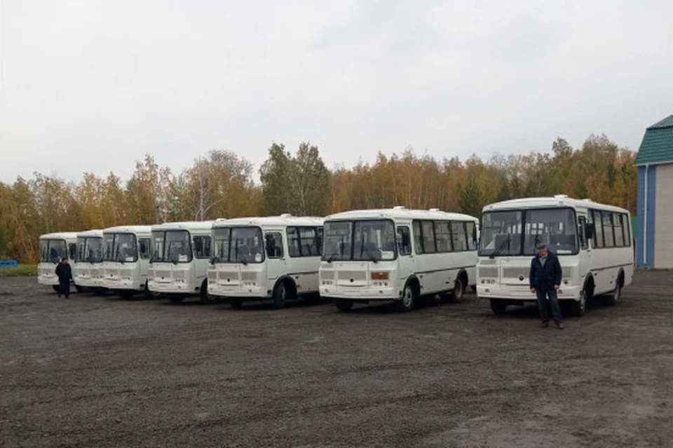 Автобусы закупают за счет средств специального казначейского кредита. Фото: правительство НСО