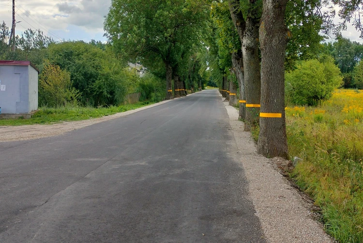 Возрождение калининградских дорог