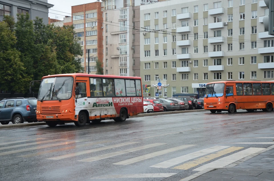 Маршрут автобуса А-54 продлят в Нижнем Новгороде в октябре