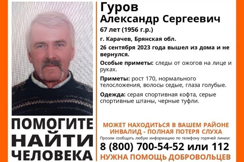 Фото: поисковый отряд "Лиза Алерт".