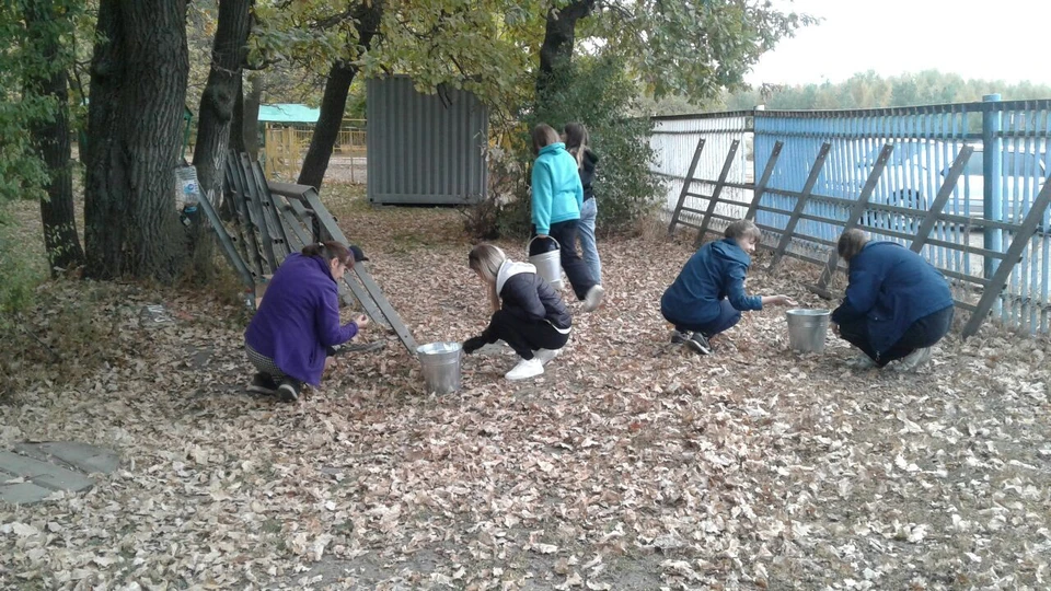 Жители Саратовской области приняли участие в «сохранении лесов»