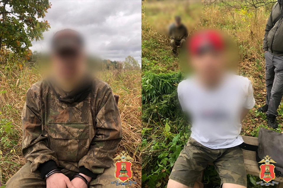 В нежилом доме два брата прятали наркосодержащие растения Фото: УМВД России по Тверской области