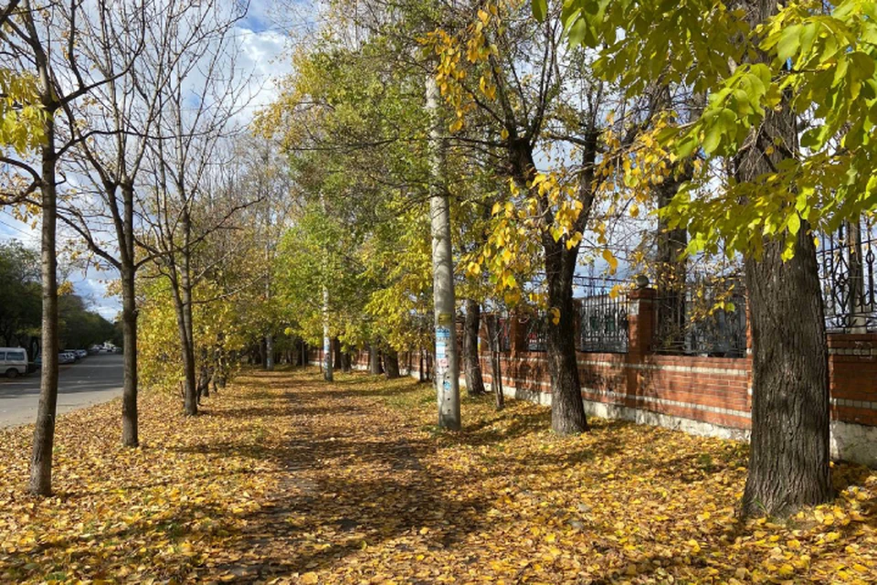 Тепло продолжит согревать край после затяжных дождей