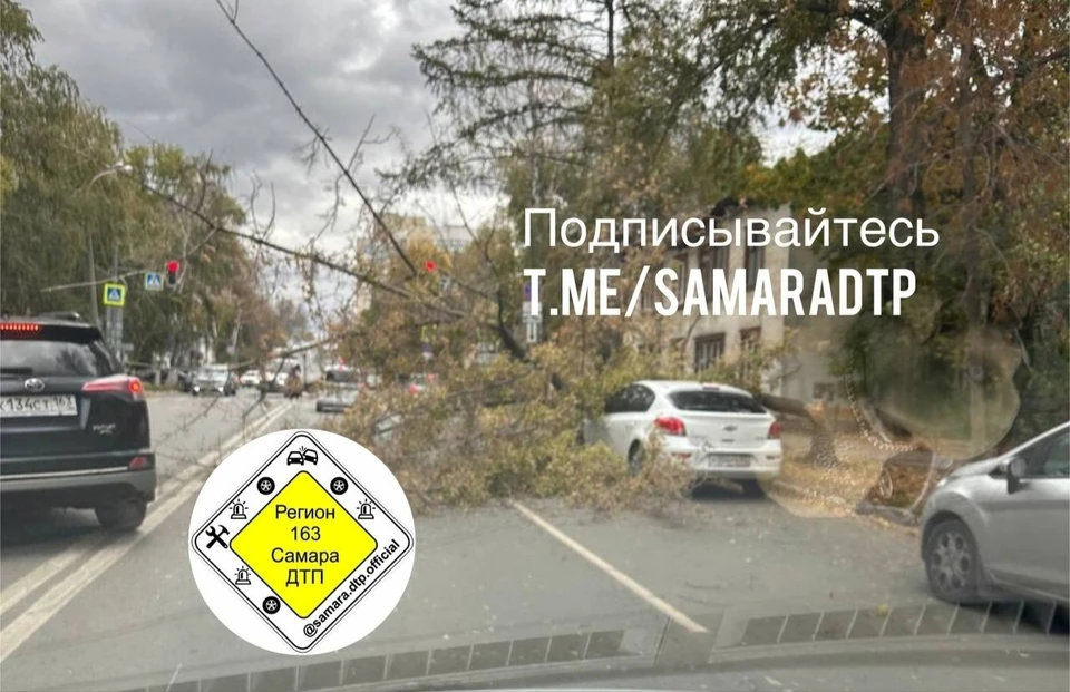 Дерево обрушилось на автомобиль. Фото: "Самара ДТП"