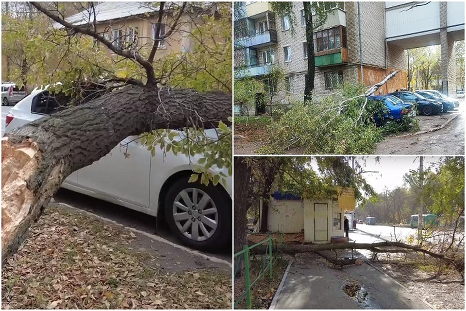 Штормовой ветер повалил несколько деревьев в Самаре и Тольятти