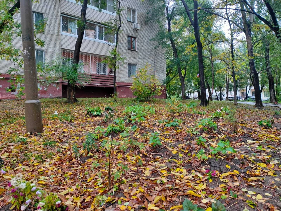 Температура поднимется чуть выше 20 градусов в Хабаровском крае 13 октября