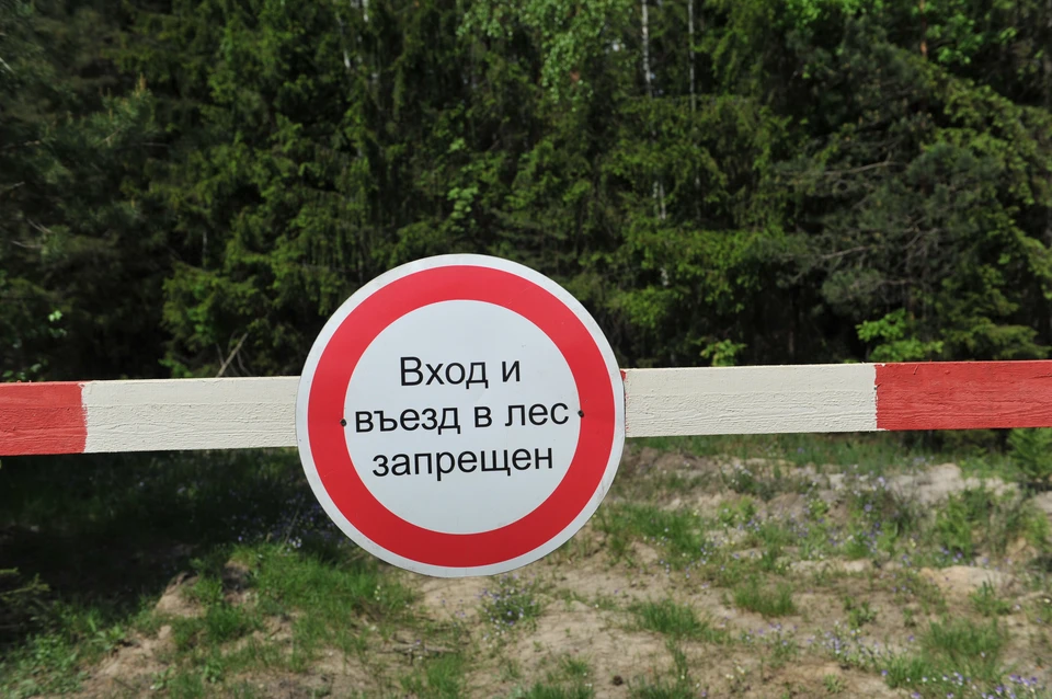Фото из архива "КП".