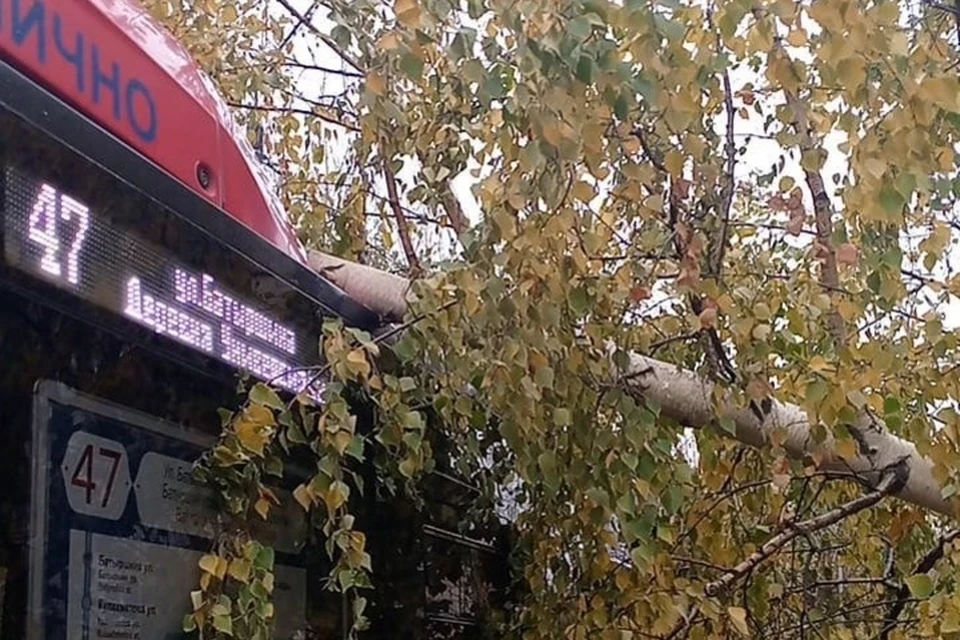 В результате происшествия автобус №47 был доставлен в гараж. Фото: Ассоциация АТП Татарстана.