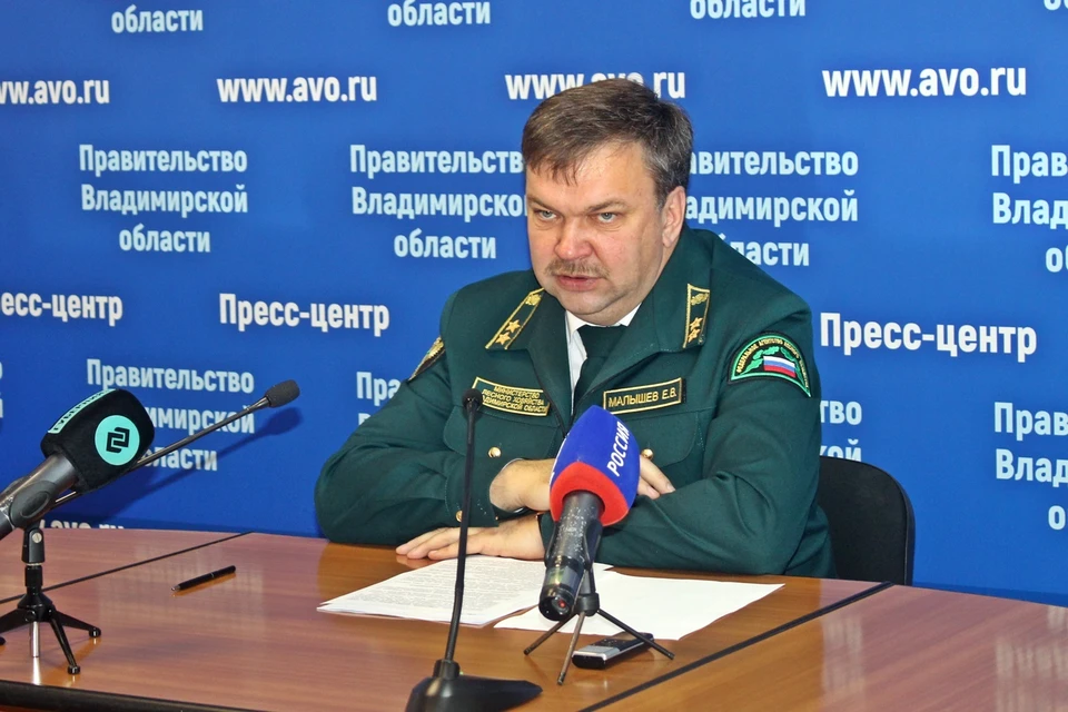 Евгений Малышев. Фото с сайта Правительства Владимирской области