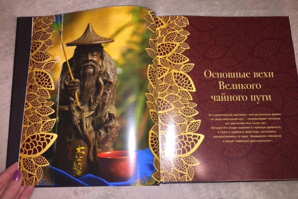Киров войдет в состав городов, через которые проходит «Великий чайный путь». Фото: t.me/Cheptsov