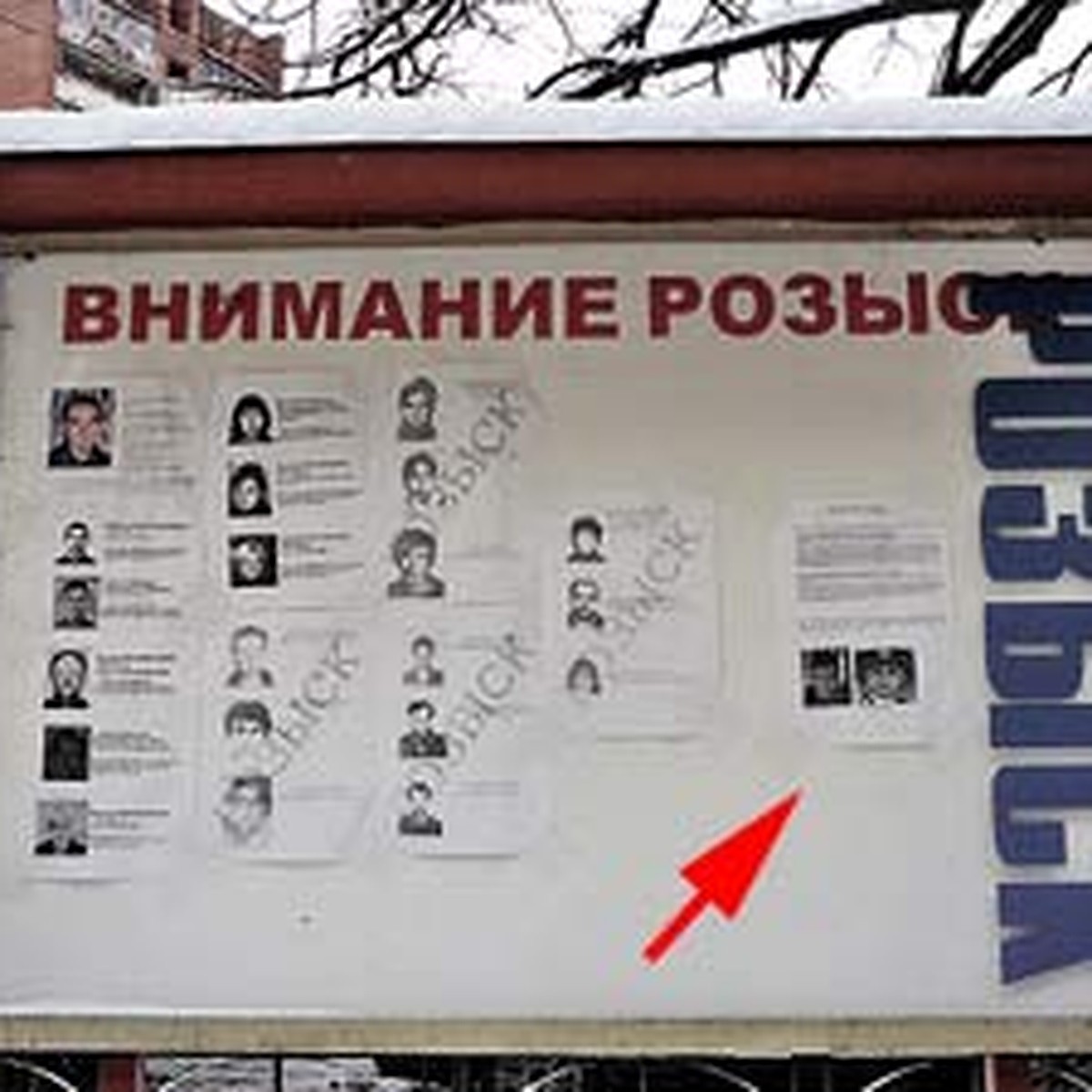 Секс знакомства в Tosno Leningrad с фото - city-lawyers.ru