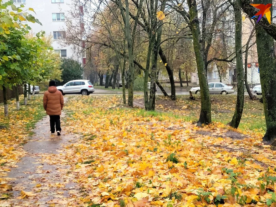 Узнали, что изменится в Беларуси в ноябре 2023 года. Фото: архив, носит иллюстративный характер.