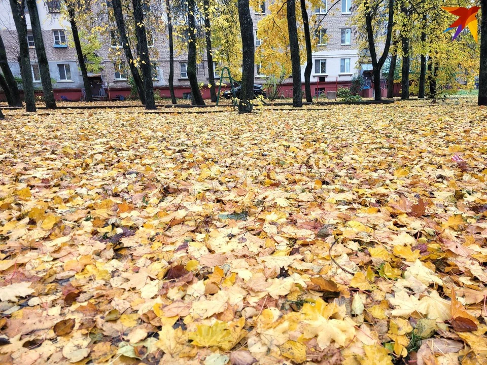 разница во времени с москвой и минском
