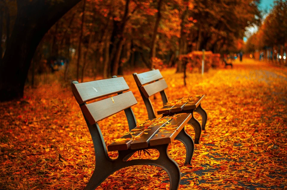 Фото: Photo by form PxHere