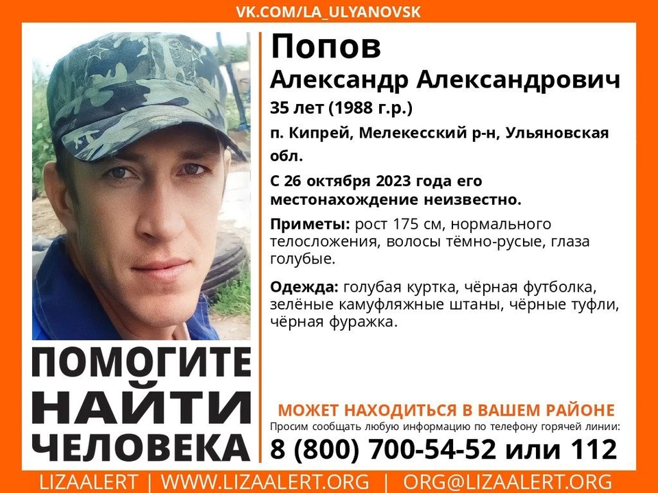 В поселке Кипрей Мелекесского района 26 октября пропал мужчина в камуфляжных штанах и голубой куртке. Фото "Лиза Алерт"