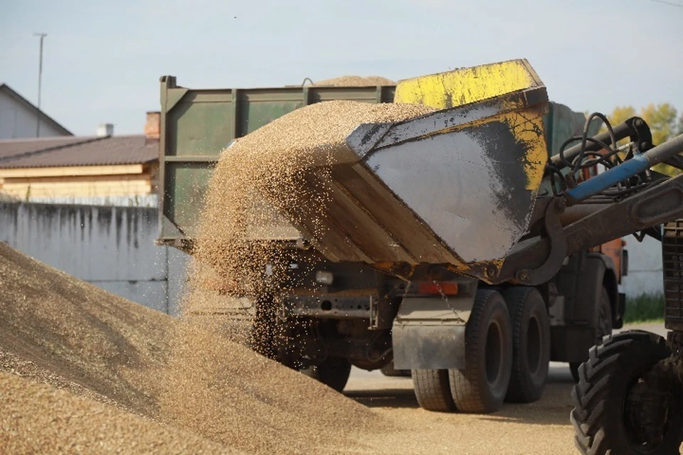 В следующем году планируется увеличить объемы реализации зерна пропорционально росту объемов производства